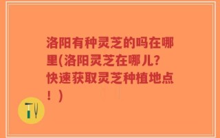 洛阳有种灵芝的吗在哪里(洛阳灵芝在哪儿？快速获取灵芝种植地点！)