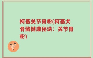 柯基关节骨粉(柯基犬骨骼健康秘诀：关节骨粉)