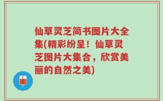 仙草灵芝简书图片大全集(精彩纷呈！仙草灵芝图片大集合，欣赏美丽的自然之美)