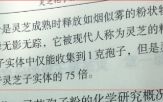 灵芝好还是灵芝孢子粉好？作用差距有多大？