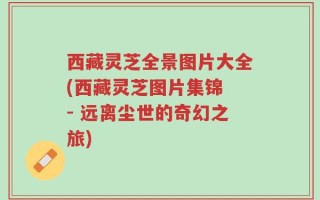 西藏灵芝全景图片大全(西藏灵芝图片集锦 - 远离尘世的奇幻之旅)