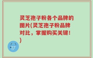 灵芝孢子粉各个品牌的图片(灵芝孢子粉品牌对比，掌握购买关键！)