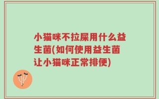 小猫咪不拉屎用什么益生菌(如何使用益生菌让小猫咪正常排便)