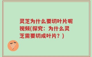 灵芝为什么要切叶片呢视频(探究：为什么灵芝需要切成叶片？)