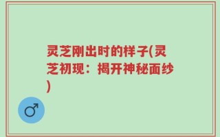 灵芝刚出时的样子(灵芝初现：揭开神秘面纱)