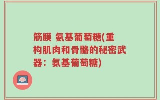 筋膜 氨基葡萄糖(重构肌肉和骨骼的秘密武器：氨基葡萄糖)