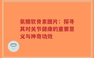 氨糖软骨素图片：探寻其对关节健康的重要意义与神奇功效