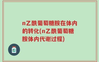n乙酰葡萄糖胺在体内的转化(n乙酰葡萄糖胺体内代谢过程)
