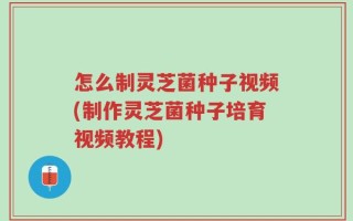 怎么制灵芝菌种子视频(制作灵芝菌种子培育视频教程)