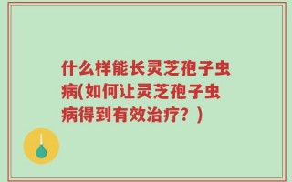 什么样能长灵芝孢子虫病(如何让灵芝孢子虫病得到有效治疗？)