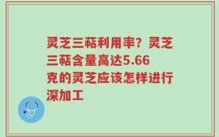 灵芝三萜利用率？灵芝三萜含量高达5.66克的灵芝应该怎样进行深加工