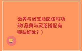 桑黄与灵芝能配伍吗功效(桑黄与灵芝搭配有哪些好处？)