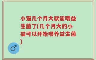 小猫几个月大就能喂益生菌了(几个月大的小猫可以开始喂养益生菌)