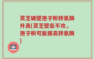 灵芝破壁孢子粉转氨酶升高(灵芝壁垒不攻，孢子粉可能提高转氨酶)