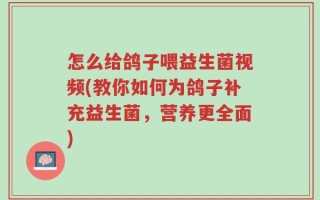 怎么给鸽子喂益生菌视频(教你如何为鸽子补充益生菌，营养更全面)
