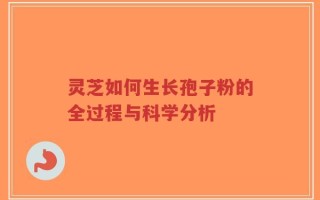 灵芝如何生长孢子粉的全过程与科学分析