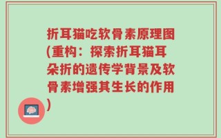 折耳猫吃软骨素原理图(重构：探索折耳猫耳朵折的遗传学背景及软骨素增强其生长的作用)