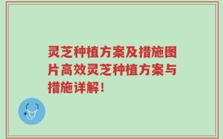 灵芝种植方案及措施图片高效灵芝种植方案与措施详解！