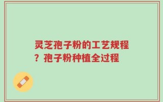 灵芝孢子粉的工艺规程？孢子粉种植全过程