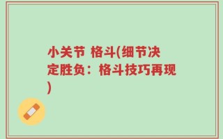 小关节 格斗(细节决定胜负：格斗技巧再现)