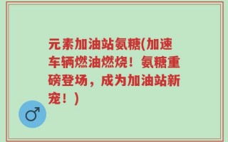 元素加油站氨糖(加速车辆燃油燃烧！氨糖重磅登场，成为加油站新宠！)