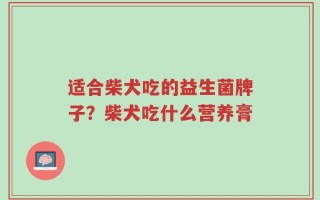 适合柴犬吃的益生菌牌子？柴犬吃什么营养膏