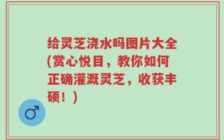 给灵芝浇水吗图片大全(赏心悦目，教你如何正确灌溉灵芝，收获丰硕！)