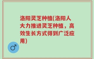 洛阳灵芝种植(洛阳人大力推进灵芝种植，高效生长方式得到广泛应用)