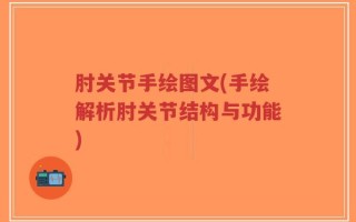 肘关节手绘图文(手绘解析肘关节结构与功能)