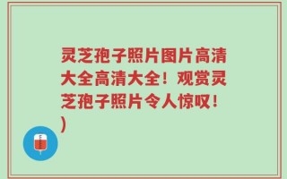 灵芝孢子照片图片高清大全高清大全！观赏灵芝孢子照片令人惊叹！)