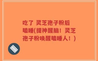 吃了 灵芝孢子粉后 瞌睡(提神醒脑！灵芝孢子粉唤醒瞌睡人！)