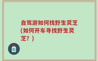 自驾游如何找野生灵芝(如何开车寻找野生灵芝？)