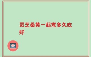 灵芝桑黄一起煮多久吃好
