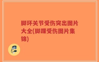 脚环关节受伤突出图片大全(脚踝受伤图片集锦)