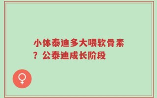小体泰迪多大喂软骨素？公泰迪成长阶段