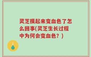 灵芝摸起来变血色了怎么回事(灵芝生长过程中为何会变血色？)
