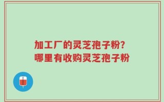 加工厂的灵芝孢子粉？哪里有收购灵芝孢子粉