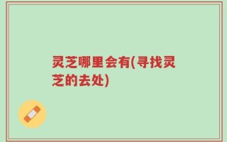 灵芝哪里会有(寻找灵芝的去处)