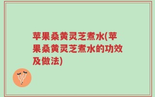 苹果桑黄灵芝煮水(苹果桑黄灵芝煮水的功效及做法)
