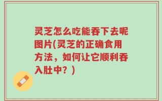 灵芝怎么吃能吞下去呢图片(灵芝的正确食用方法，如何让它顺利吞入肚中？)