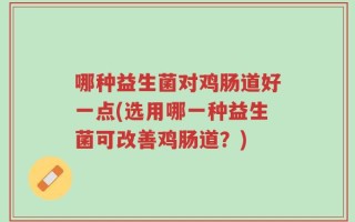 哪种益生菌对鸡肠道好一点(选用哪一种益生菌可改善鸡肠道？)
