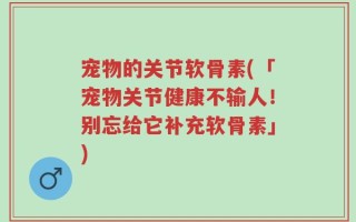宠物的关节软骨素(「宠物关节健康不输人！别忘给它补充软骨素」)