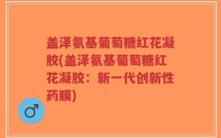 盖泽氨基葡萄糖红花凝胶(盖泽氨基葡萄糖红花凝胶：新一代创新性药膜)
