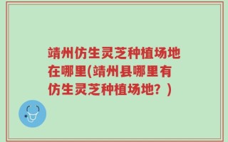 靖州仿生灵芝种植场地在哪里(靖州县哪里有仿生灵芝种植场地？)