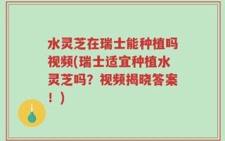水灵芝在瑞士能种植吗视频(瑞士适宜种植水灵芝吗？视频揭晓答案！)
