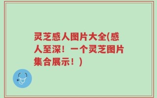 灵芝感人图片大全(感人至深！一个灵芝图片集合展示！)
