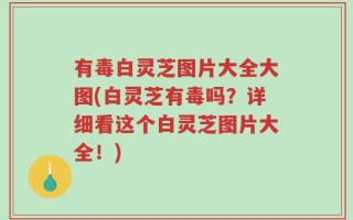 有毒白灵芝图片大全大图(白灵芝有毒吗？详细看这个白灵芝图片大全！)