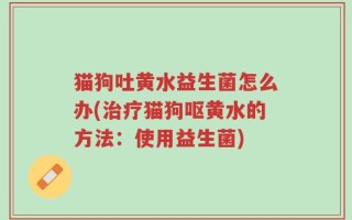 猫狗吐黄水益生菌怎么办(治疗猫狗呕黄水的方法：使用益生菌)