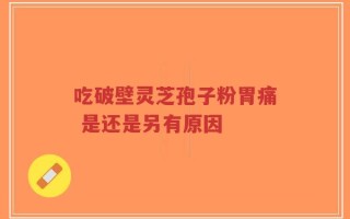 吃破壁灵芝孢子粉胃痛 是还是另有原因