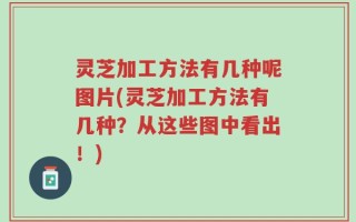 灵芝加工方法有几种呢图片(灵芝加工方法有几种？从这些图中看出！)